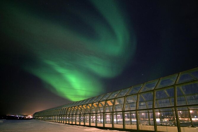 Rovaniemi walking tour and guided Arktikum experience - Key Things I’d Book This For