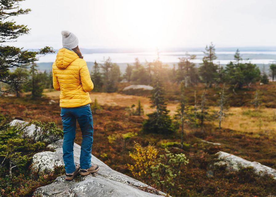 Rovaniemi: Wild Moose Safari - Why Rovaniemi’s Wild Moose Safari feels different from city animal tours