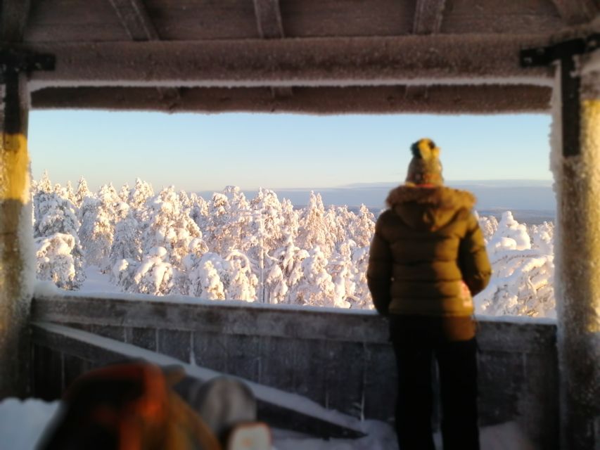 Rovaniemi: Wilderness Tour - The Hike Style: Easy Pacing, Real Learning Stops