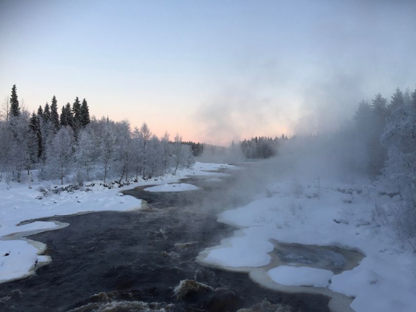 Rovaniemi: Wilderness Tour - Small Group Size and Pickup: Why Logistics Matter Here