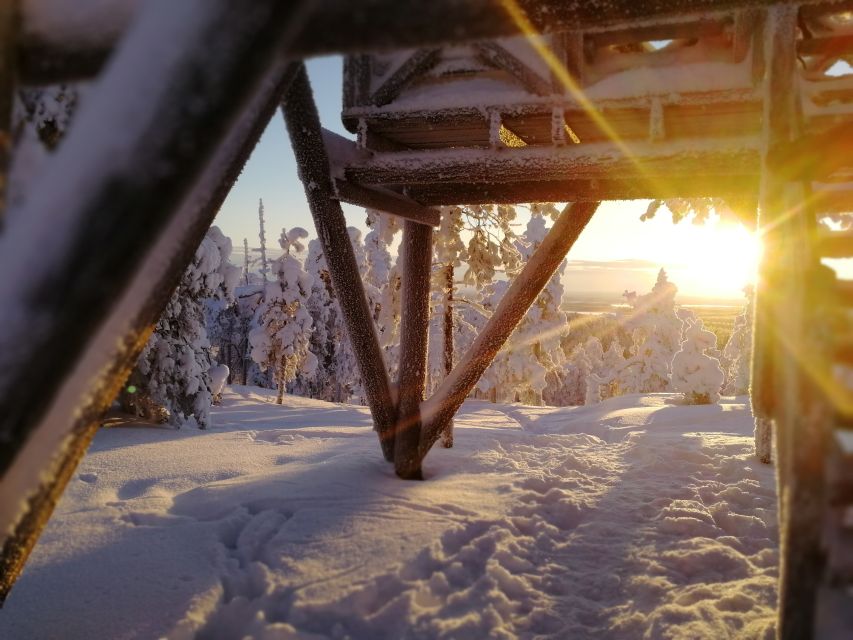 Rovaniemi: Wilderness Tour - What’s Included, What You Provide, and How to Pack Smart
