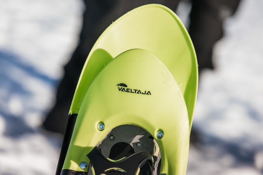 Rovaniemi: Winter Wilderness Snowshoeing Trip - Key Highlights Worth Marking on Your Winter Map