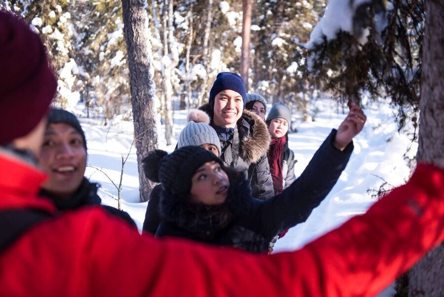 Rovaniemi: Winter Wilderness Snowshoeing Trip - Following the Cold Through Old Forests, Frozen Swamps, and Lakes