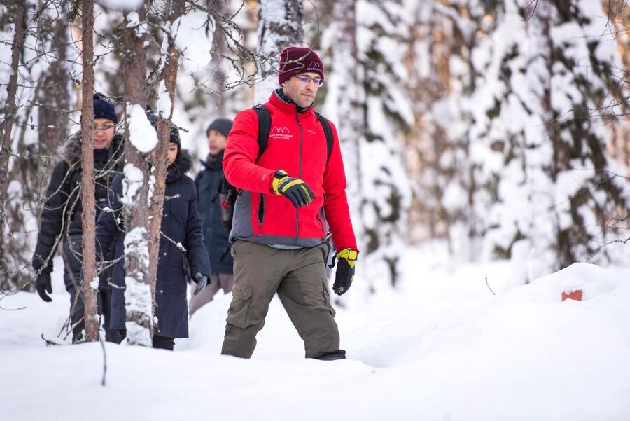 Rovaniemi: Winter Wilderness Snowshoeing Trip - Who Should Book This Snowshoe Trip, and Who Should Skip It
