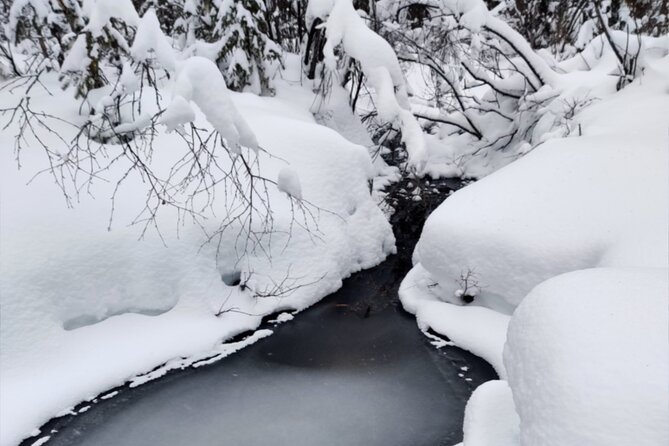 Rovaniemi: Winter Wonderland Vikaköngäs Hiking Tour & BBQ - Key highlights at a glance