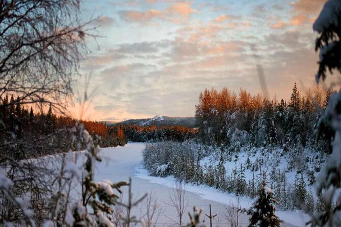 Rovaniemi: Winter Wonderland Vikaköngäs Hiking Tour & BBQ - Vikaköngäs hiking: why this winter outing feels different near Rovaniemi