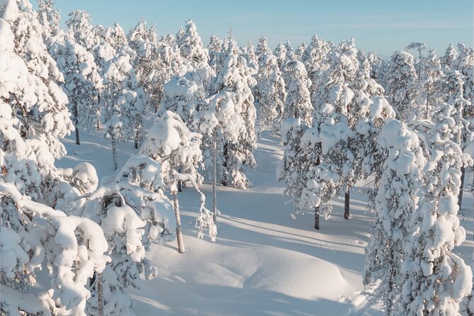 Rovaniemi: Winter Wonderland Vikaköngäs Hiking Tour & BBQ - Campfire BBQ after the hike: why it feels like real comfort, not a gimmick
