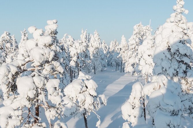 Rovaniemi: Winter Wonderland Vikaköngäs Hiking Tour & BBQ - Gear and crampons: the best part you do not want to think about