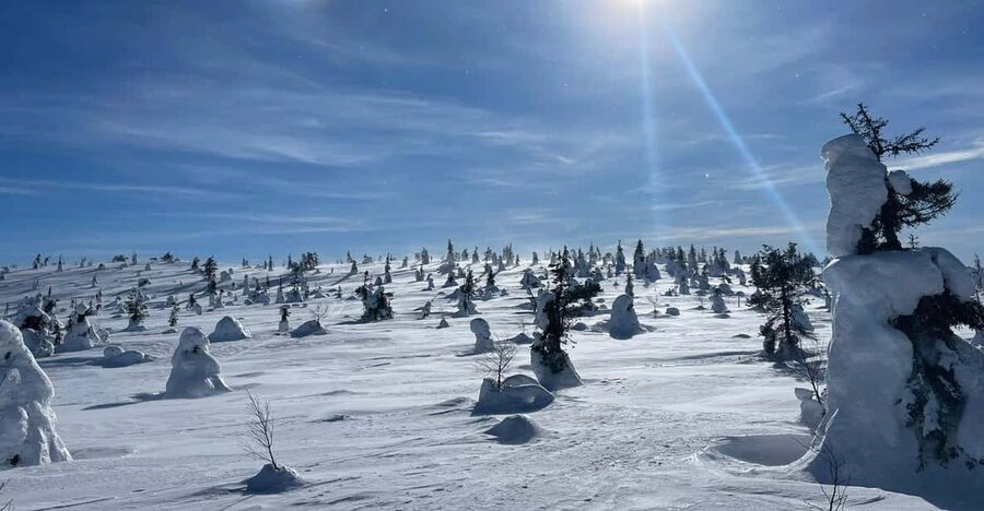 Ruka: Riisitunturi National Park with lunch. - Key highlights to look for
