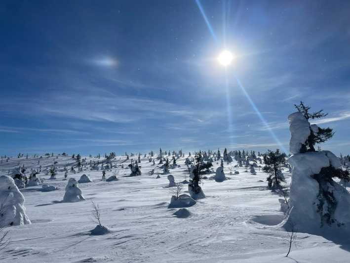 Ruka: Riisitunturi National Park with lunch. - Lunch-style snack and fire-time comfort