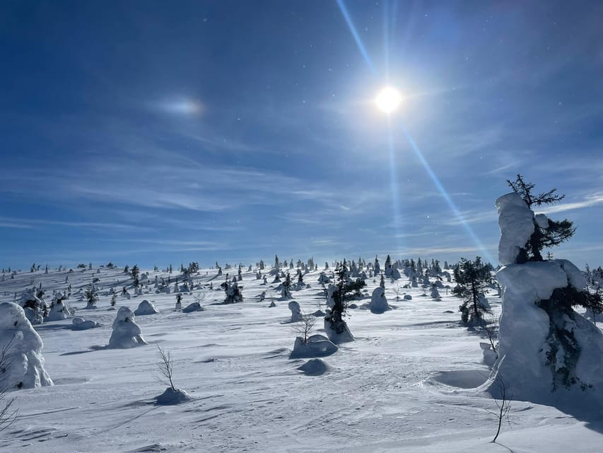 Ruka: Riisitunturi National Park with lunch. - Meet Alfredo and Tuulia: safety plus calm, in one team