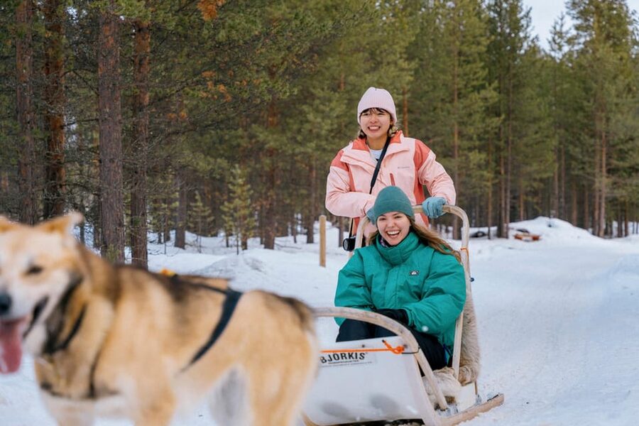 Saariselkä: 10KM Husky Safari with kennel visit - Key things to know before you book