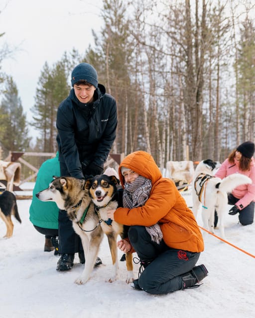 Saariselkä: 10KM Husky Safari with kennel visit - Meeting the dogs up close, including pups