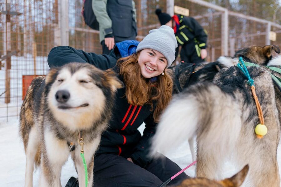 Saariselkä: 10KM Husky Safari with kennel visit - Price and value: why $234 can make sense here