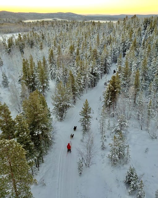 Saariselkä: 10KM Husky Safari with kennel visit - The safety briefing that actually helps you mush