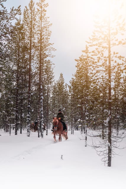 Saariselkä: Arctic Trail Horse Riding Tour - How the 2-Hour Schedule Feels Relaxed (Not Rushed)