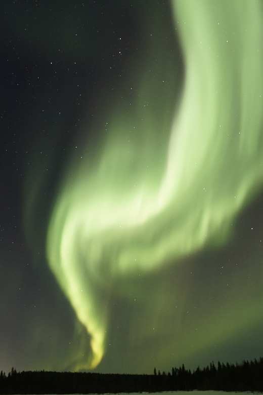 Saariselkä: Aurora Photo Tour by Car with Transfer & Drinks - Aurora reality check: chance, not a guarantee