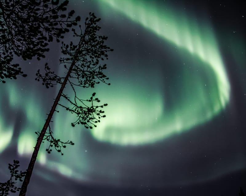 Saariselkä: Aurora Photo Tour by Car with Transfer & Drinks - Value check: is $135 a good deal for Saariselkä?