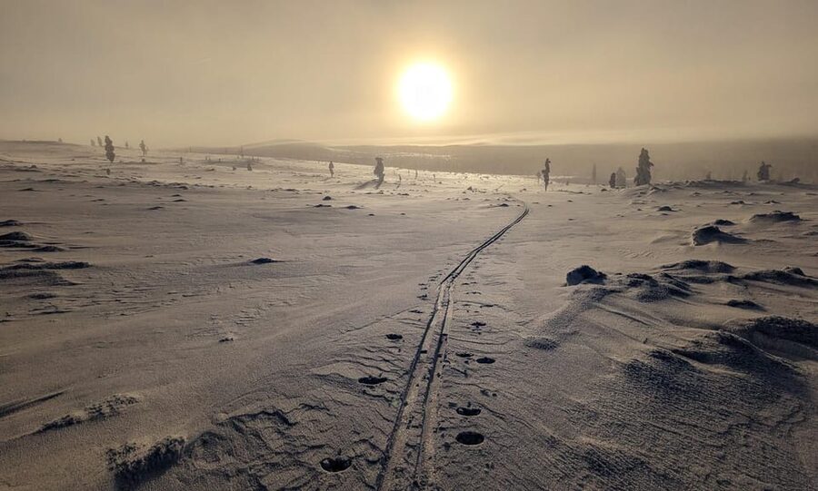 Saariselkä: Back-Country Skiing Guided Tour - Key Highlights You Will Actually Feel