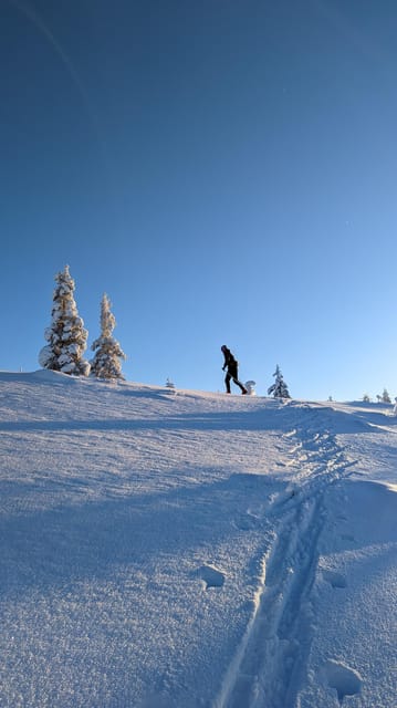 Saariselkä: Back-Country Skiing Guided Tour - What to Pack So You Stay Comfortable (Not Just Brave)