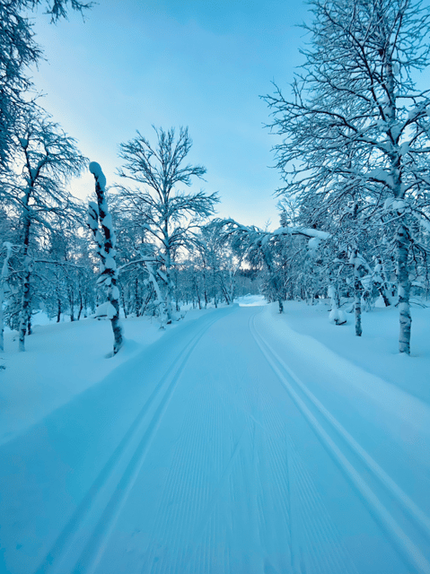 Saariselkä: Cross-Country Skiing for beginners - Price and Value: Is 88 USD for Two Hours Fair?