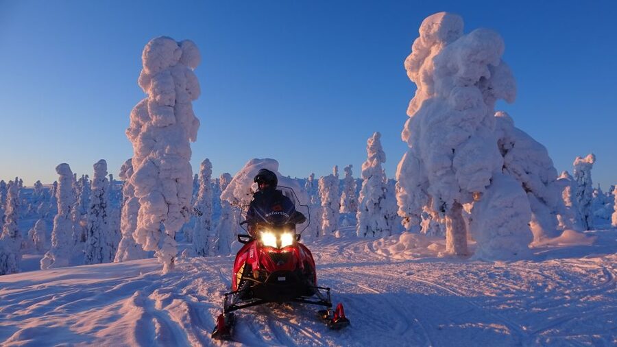 Saariselkä: Evening Snowmobile Tour with Fire & picnic - Saariselkä at night, the 3-hour flow that actually works