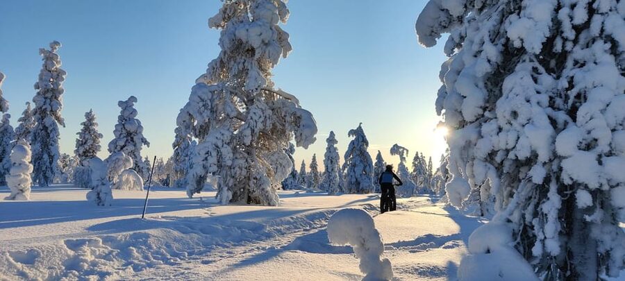 Saariselkä: Guided Fatbike Tour - E-fatbike vs bio fatbike, and why “similar bikes” helps you enjoy