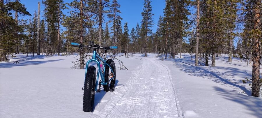 Saariselkä: Guided Fatbike Tour - The guide experience, English support and small-group attention