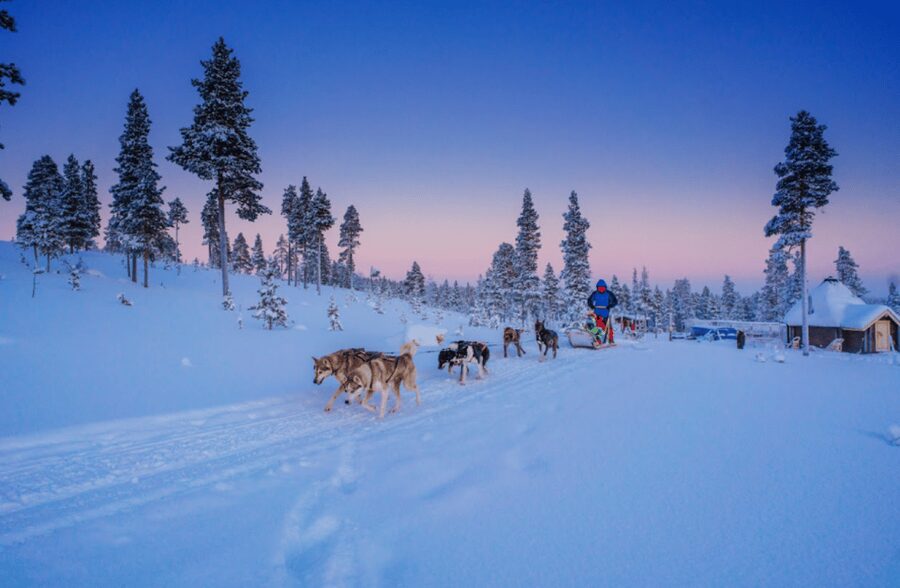 Saariselkä: Husky Safari with Aurora Borealis Hunt - Key highlights you will feel right away