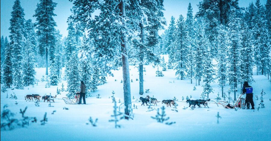 Saariselkä: Husky Safari with Aurora Borealis Hunt - Saariselkä logistics, pickups, and what 3 hours really means