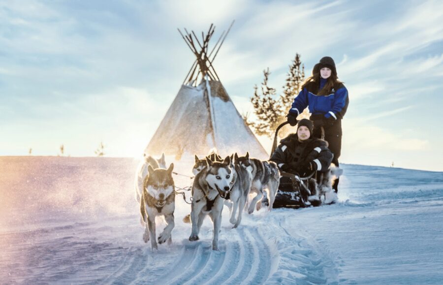 Saariselkä: Husky Safari with Aurora Borealis Hunt - Wilderness Center Husky Farm: meet the dogs and learn the sleigh quickly