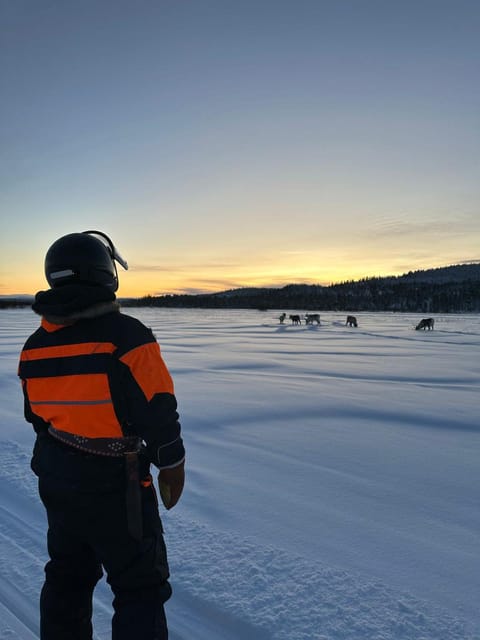 Saariselkä: Ice Fishing Tour to Lake Inari, reindeers& lunch - Transport, group size, and timing: how the 5 hours actually feel
