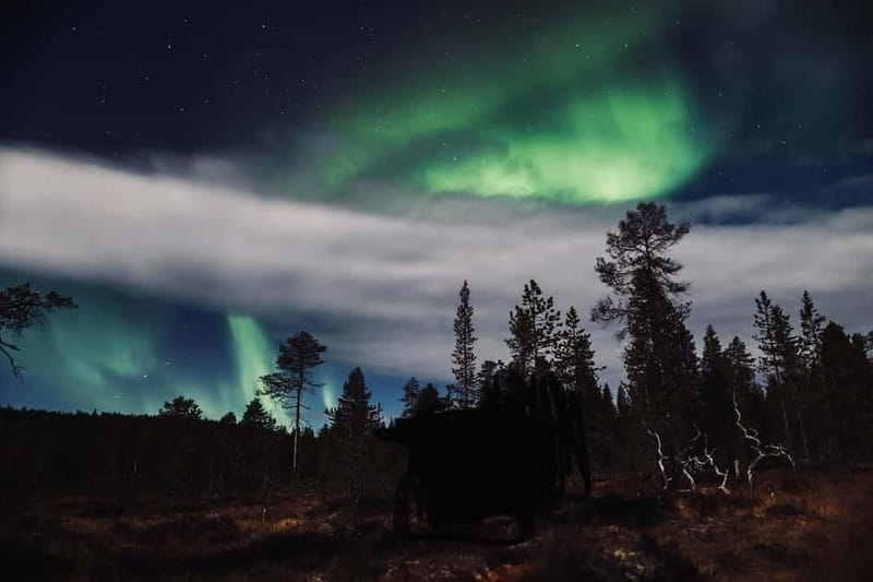 Saariselkä,Kakslauttanen: Aurora Hunting & Photography Tour. - Photography and public aurora images, what you should know