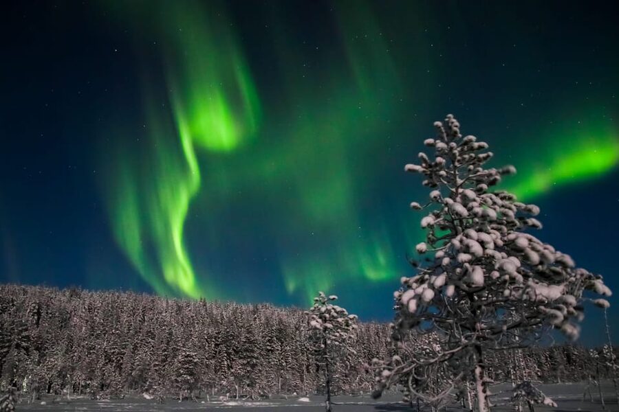 Saariselkä: Northern Lights Hunting Snowshoe Trip - Following the sky: aurora odds and how to handle the uncertainty