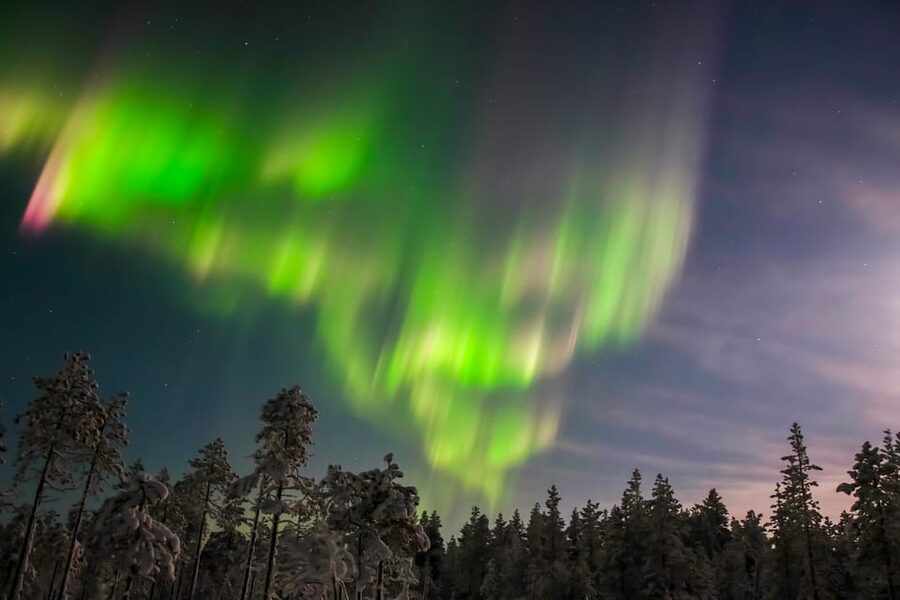 Saariselkä: Northern Lights Hunting Snowshoe Trip - What the guide adds: questions, animal tracks, and flexible pacing