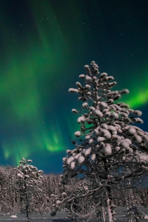 Saariselkä: Northern Lights Hunting Snowshoe Trip - What to wear in Lapland winter so the trip stays fun