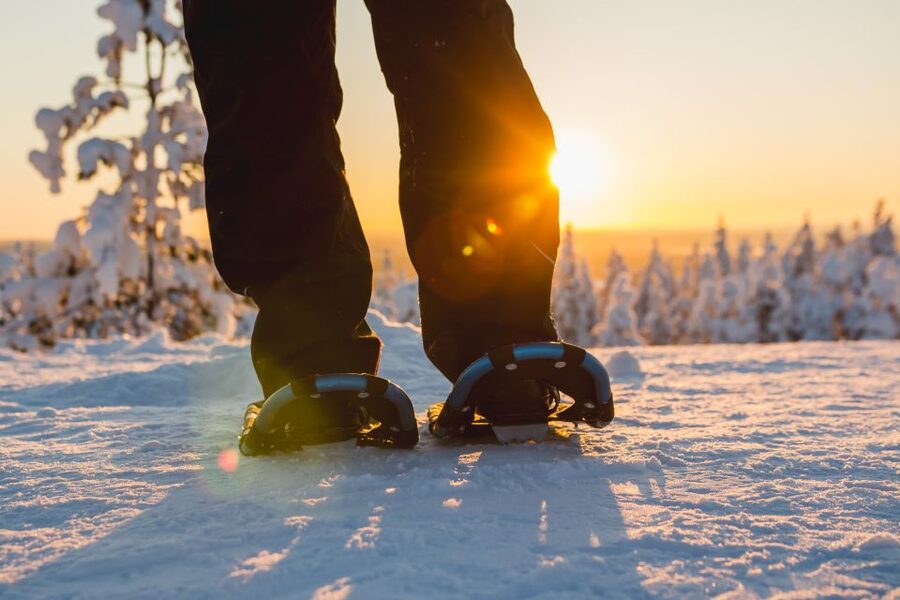 Saariselkä: Scenic Snowshoe Safari - What Your Guide Actually Teaches About Lappish Nature and Culture