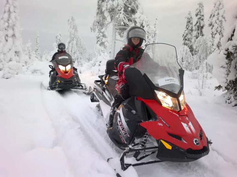 Saariselka: Snowmobile Safari on Tundra with BBQ - The BBQ and Warm Drink Hut Stop in the Forest