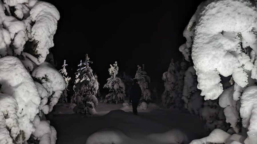 Saariselkä: Snowshoeing Tour in Urho Kekkonen National Park - Snowshoeing in Urho Kekkonen feels like the real backcountry