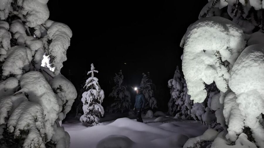 Saariselkä: Snowshoeing Tour in Urho Kekkonen National Park - The snowshoe workout: how hard it feels and how to handle it