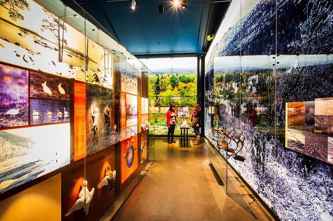 Sámi Village Inari and Siida Museum by Car - Setting Off From Saariselka: Gear, Pickup, and the Pace You Can Handle
