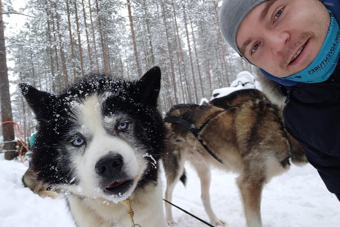 Santa Claus Village Guided Tour & Arctic Animals Adventure - Where the tour meets you, and how pickup keeps things simple