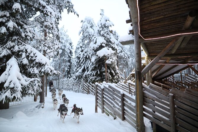 Santa Claus Village, Husky and Reindeers Combo Safari - A tight 4-hour Lapland loop from central Rovaniemi