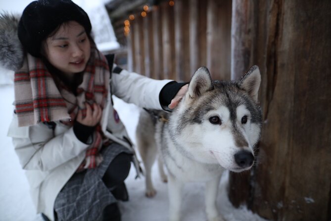 Santa Claus Village, Husky and Reindeers Combo Safari - Season matters: summer and winter change the promise