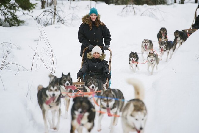 Santa's Reindeer & Husky Safari + Aurora BBQ in Rovaniemi - Aurora BBQ in a Kota: warm food, hot tea, and marshmallow grilling