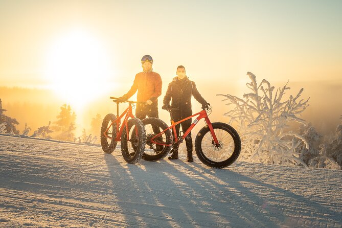 Scenic electric fat bike group ride in Rovaniemi - Key reasons this ride is worth your time