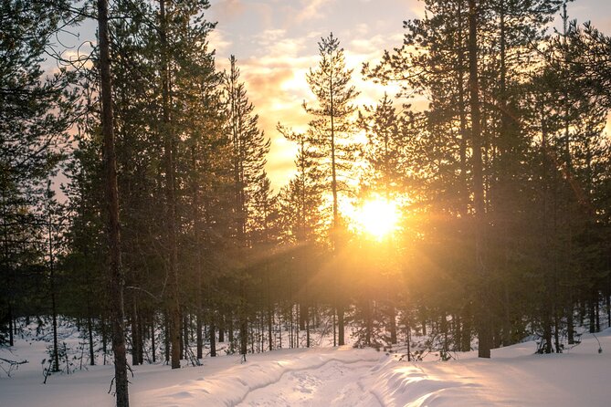 Scenic electric fat bike group ride in Rovaniemi - Tottorakka lift station: the steep part and the payoff views