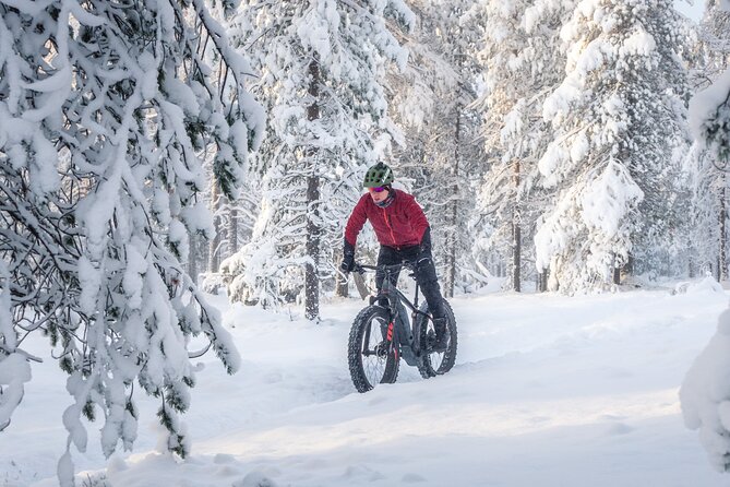 Scenic electric fat bike group ride in Rovaniemi - How the timing and group size affect your experience