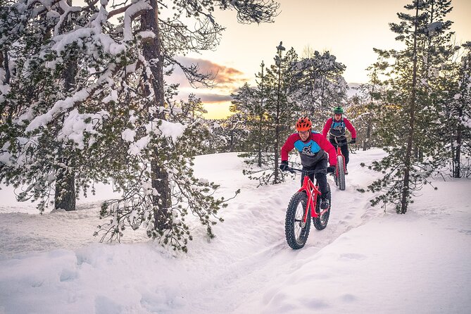 Scenic electric fat bike group ride in Rovaniemi - Guides, patience, and the art of choosing the right trail