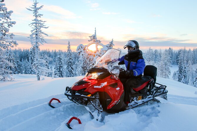 Scenic Snowmobile Safari in Saariselkä - Key Highlights You’ll Feel During the Safari